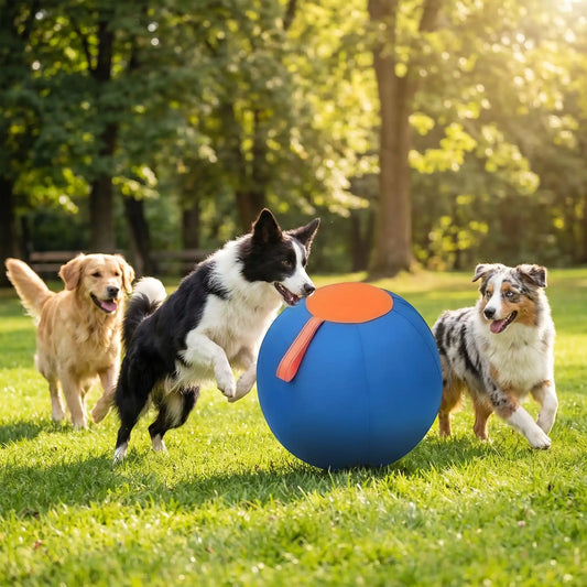 Trois chiens dans un parc jouent avec les jouets pour chiens BouBoule.