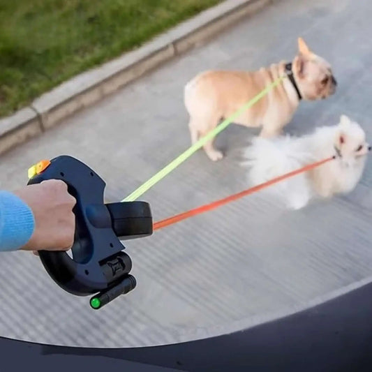 Un bouledogue et un pomeranien marchent avec la laisse à enrouler pour chien double. 