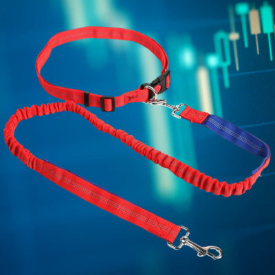 laisse canicross couleur rouge bleu reflechissant