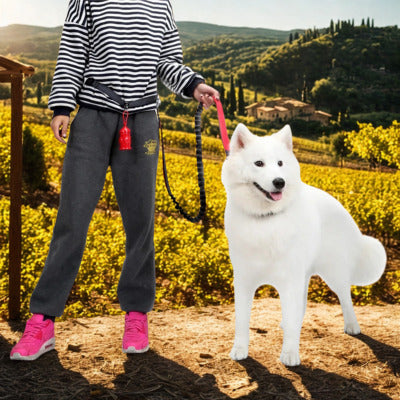 laisse canicross hosky blanc femme montagne verdure