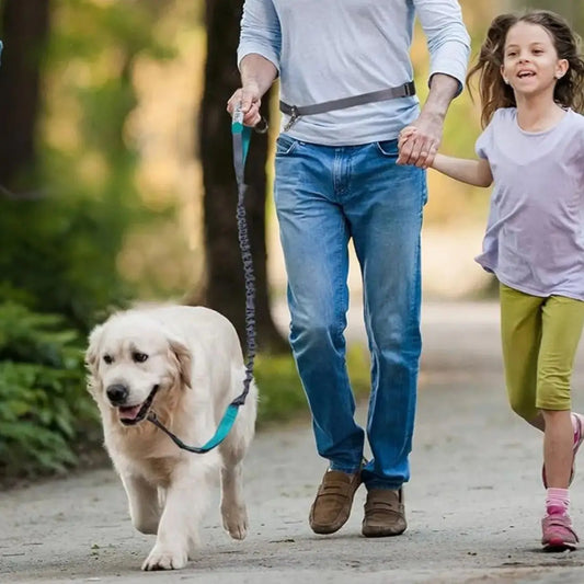 Un homme et une fillette marchent avec un golden retriever en laisse avec la laisse canicross turquoise.