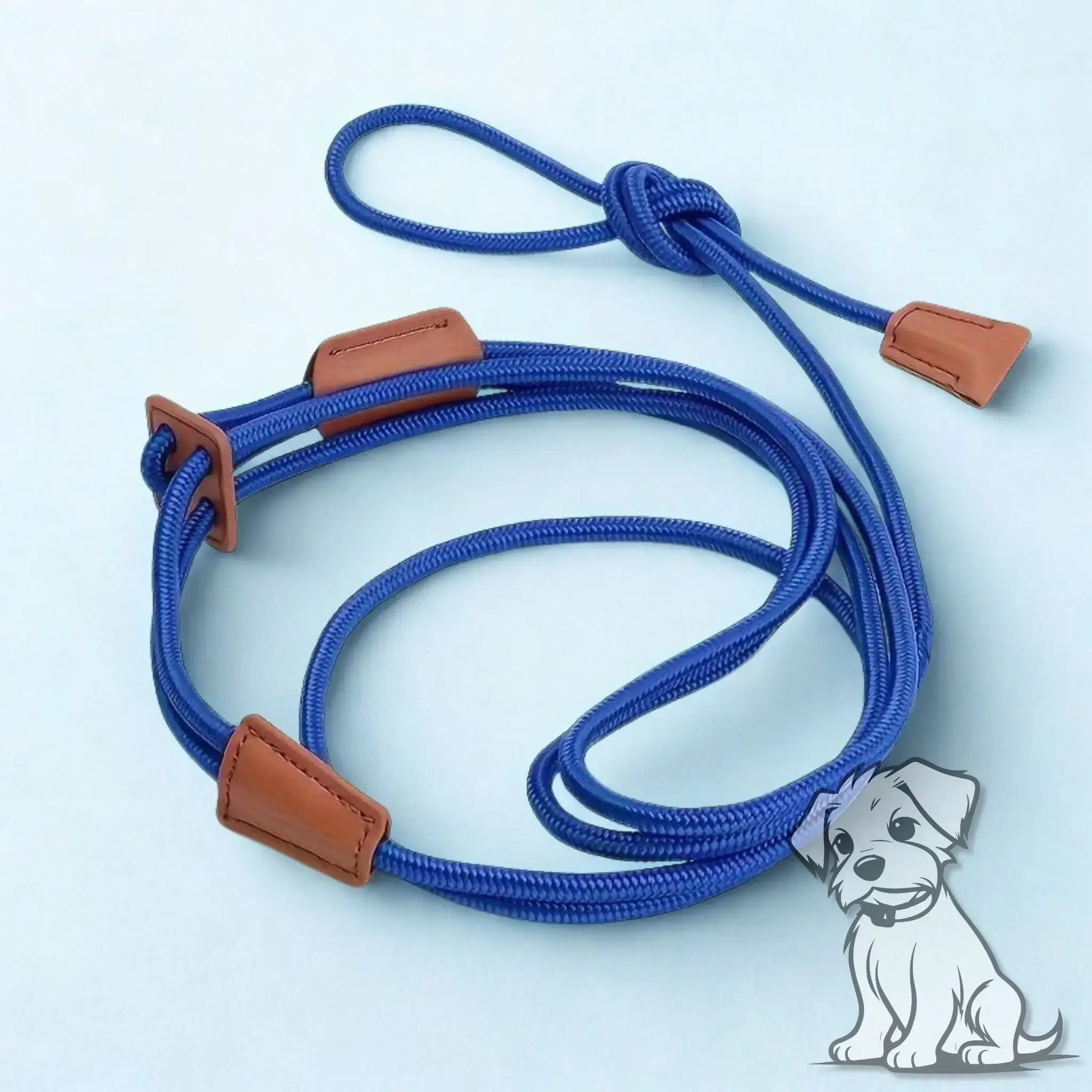 Une laisse pour chien en corde de couleur bleue.