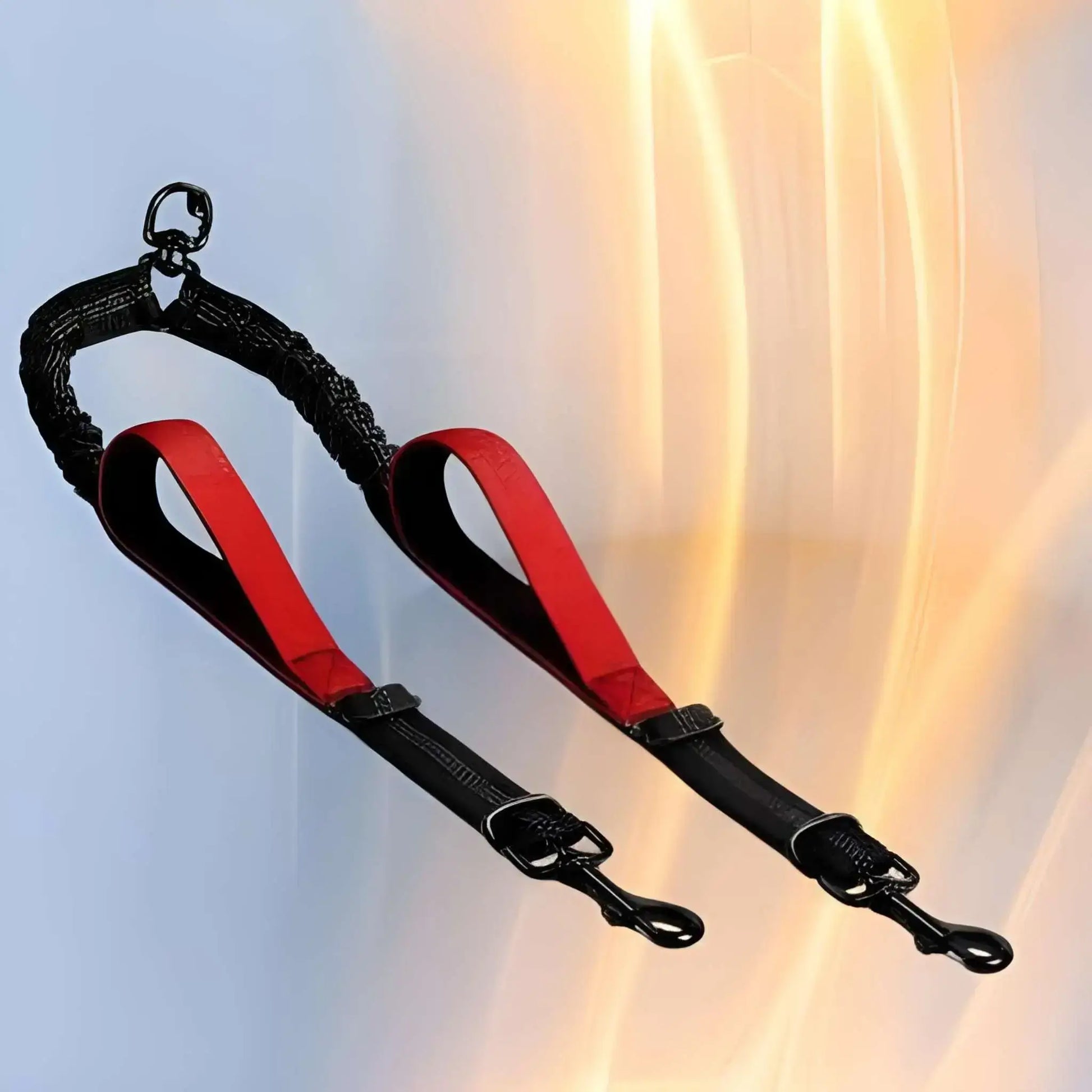 Une laisse pour chien double de couleur rouge.