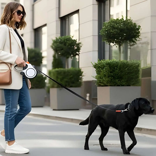 Une femme avec son labrador noir marche sur le trottoir avec la laisse pour chien enrouleur PromiFil.