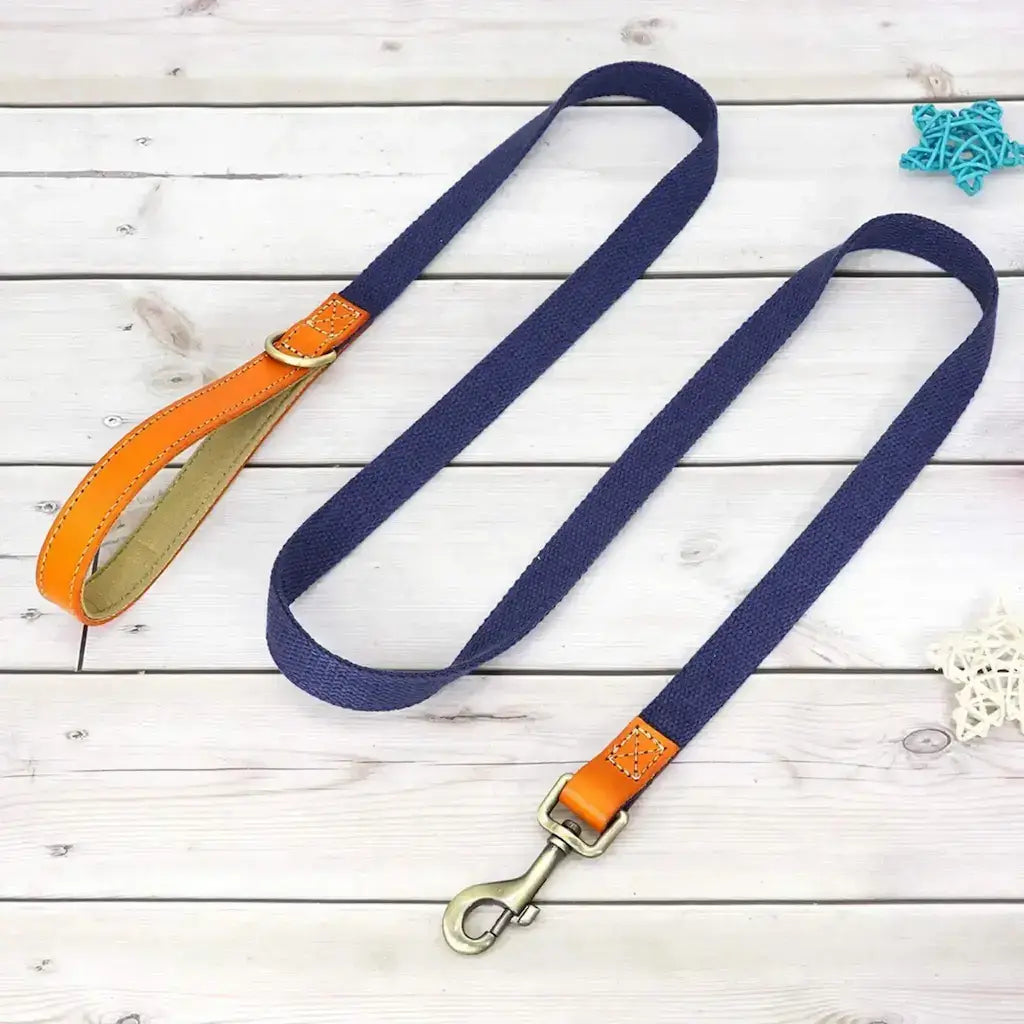 Une laisse pour chien de couleur bleue.