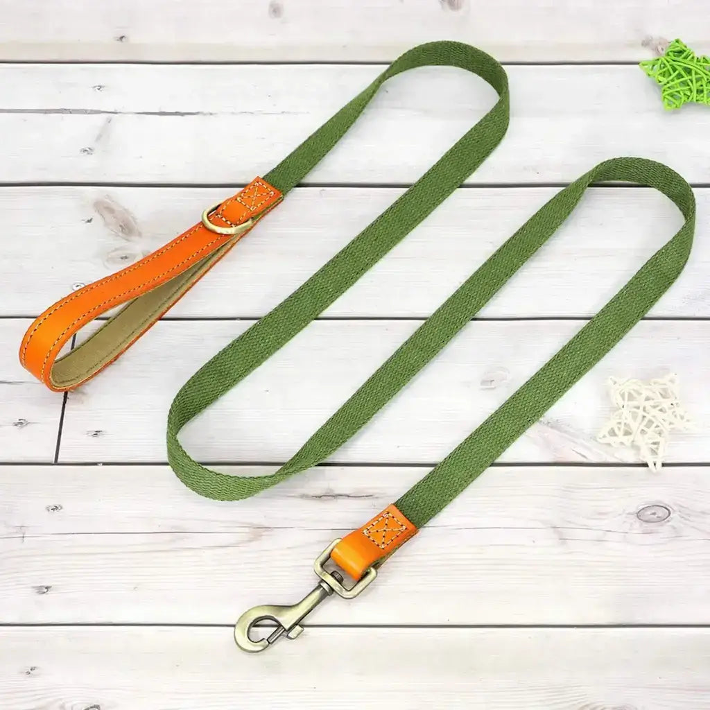 Une laisse pour chien de couleur vert armé.