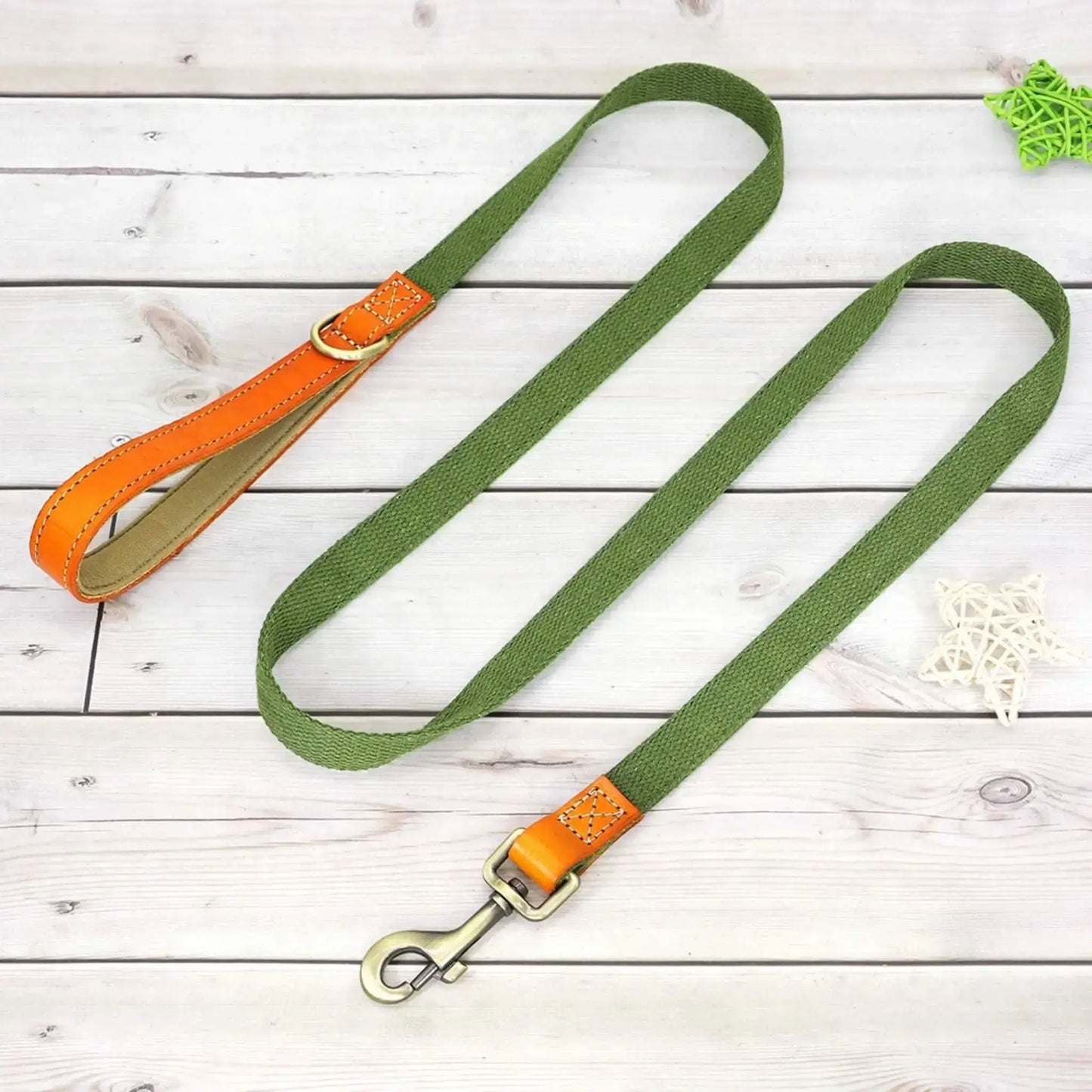 Une laisse pour chien de couleur verte