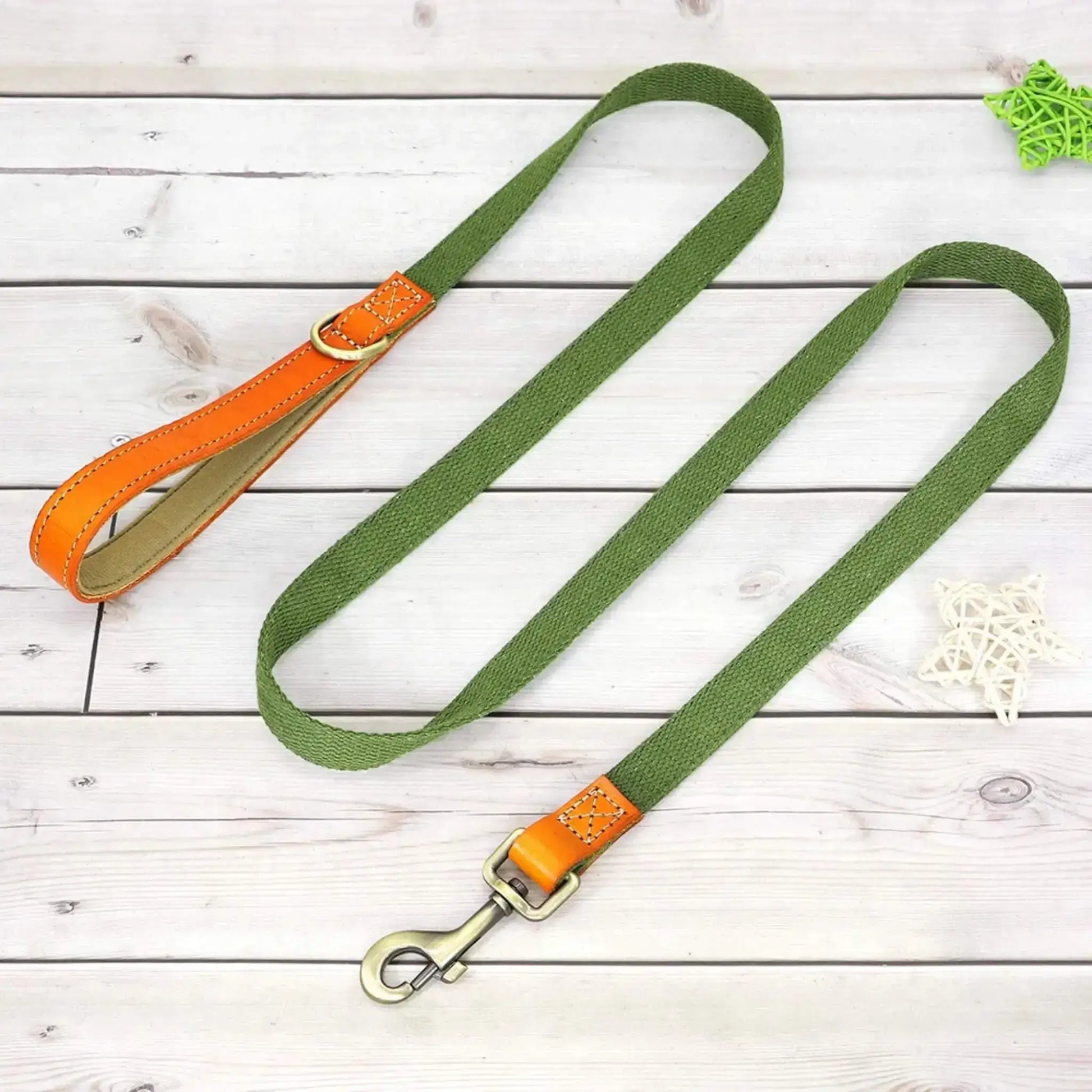 Une laisse pour chien de couleur verte