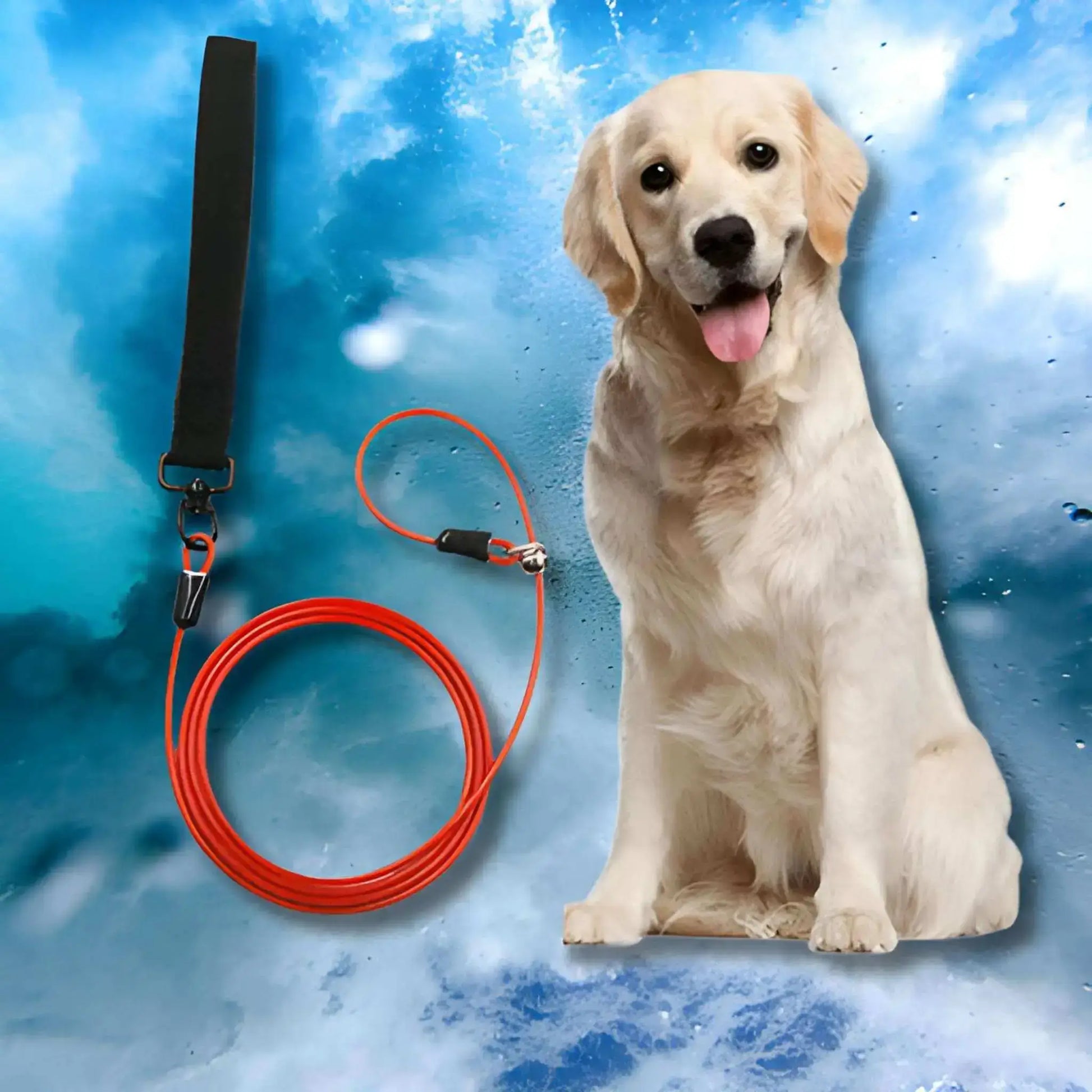 Une laisse-corde pour chien rouge avec un golden retriever.