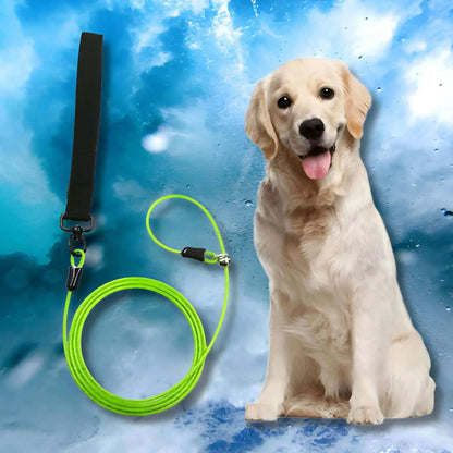 Une laisse-corde pour chien vert fluo avec un golden retriever.