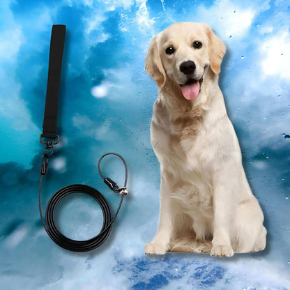 Une laisse-corde pour chien noir avec un golden retriever.