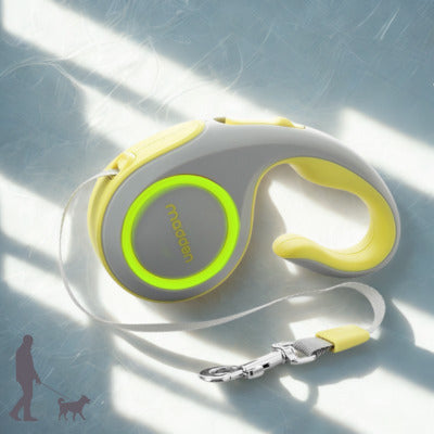 laisse de chien couleur gris retractable