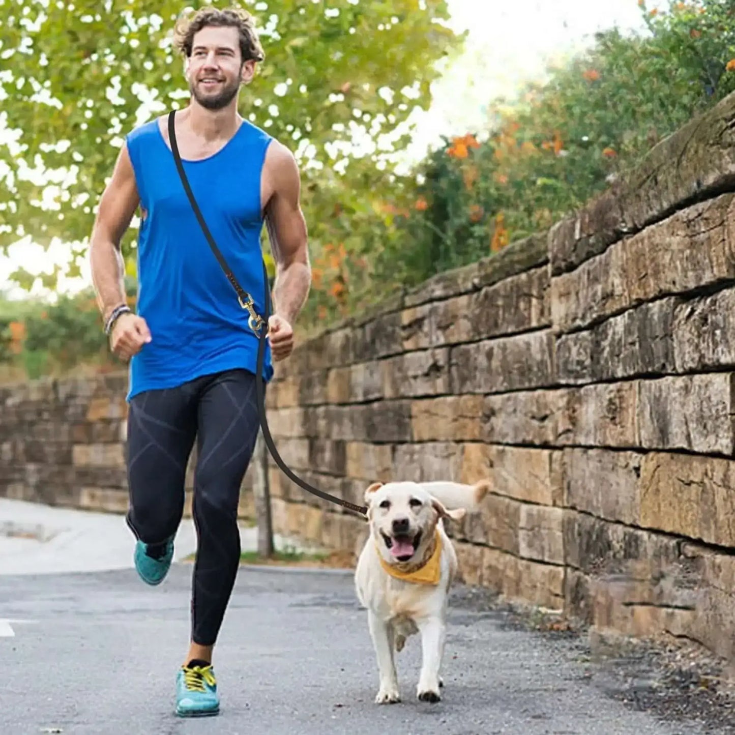 Un homme fait son jogging avec son labrador et une laisse de chien mains libres.