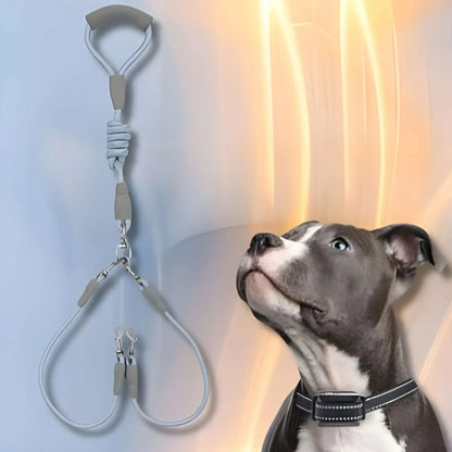 Une laisse double pour chien bleue avec un pitbull.