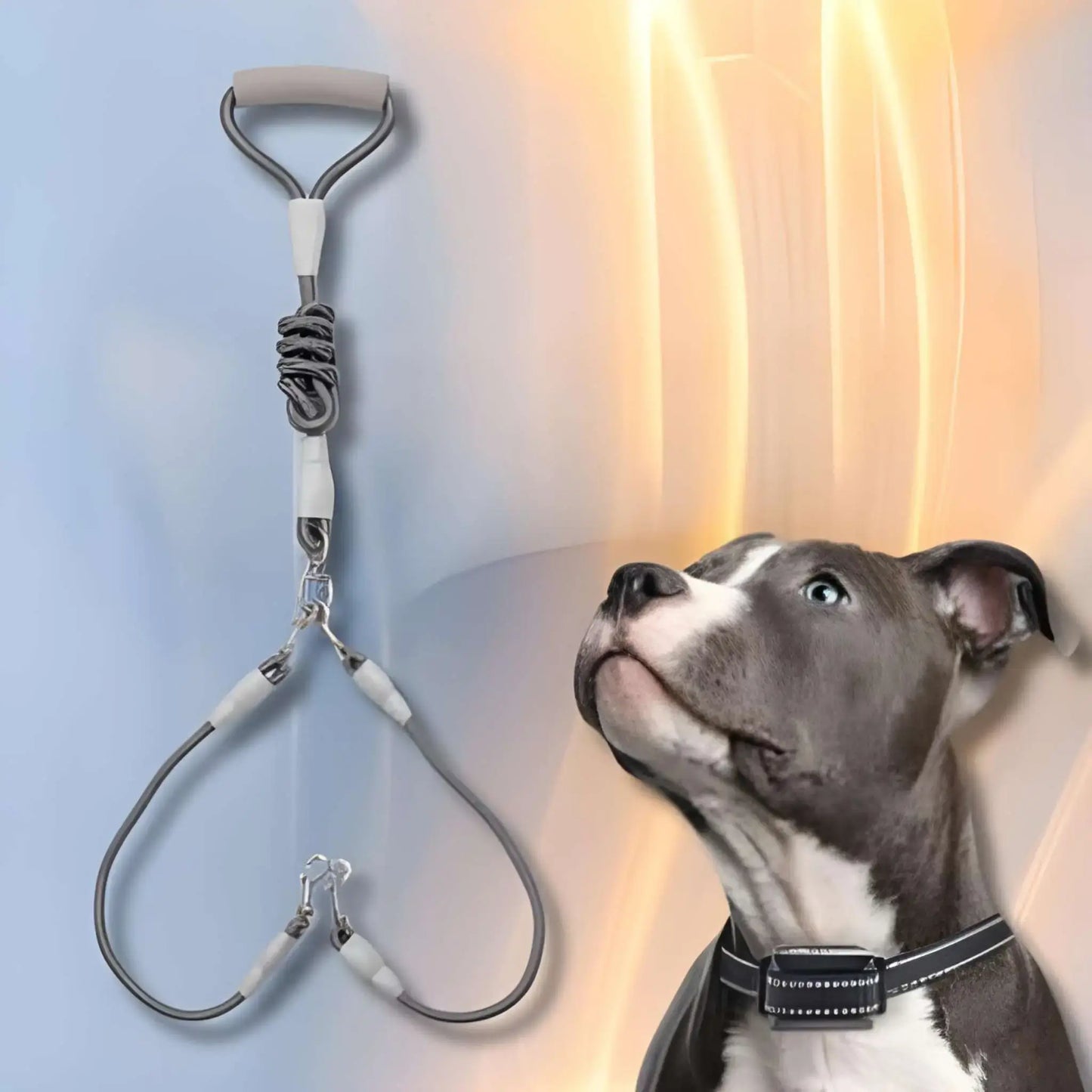 Une laisse double pour chien grise avec un pitbull.
