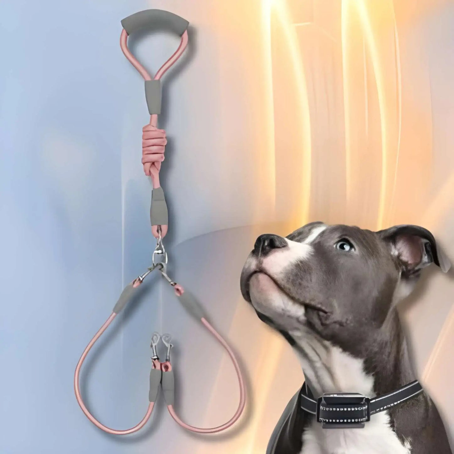 Une laisse double pour chien rose avec poignée rembourrée et un pitbull.