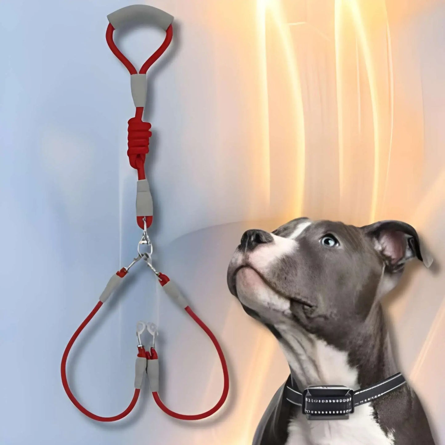 Une laisse double pour chien rouge avec un pitbull à côté.