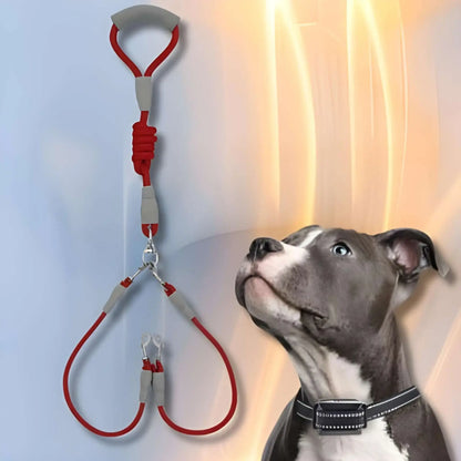 Une laisse double pour chien rouge avec un pitbull à côté.