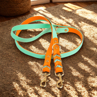 laisse double pour chien couleur orange pvc