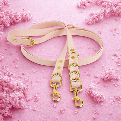 laisse double pour chien couleur rose