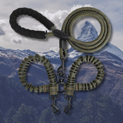 laisse double pour chien couleur vert arme montagne