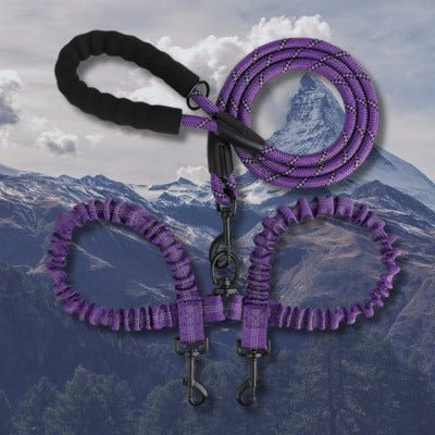 laisse double pour chien-couleur violet montagne
