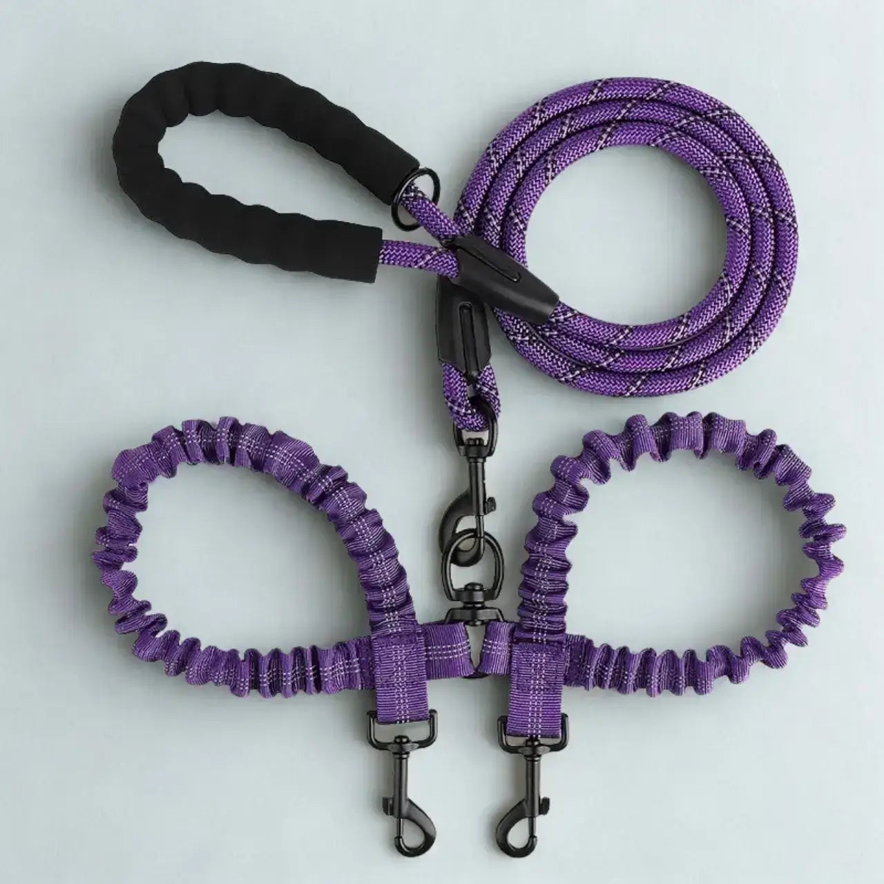Une laisse double pour chien de couleur violette.
