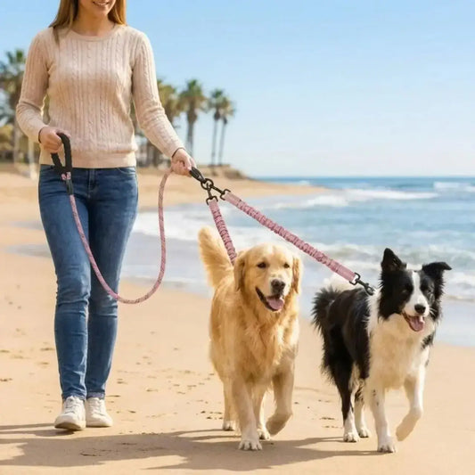 Une femme avec un border collie et un golden retriever marche sur la plage avec la laisse double pour chien rose.