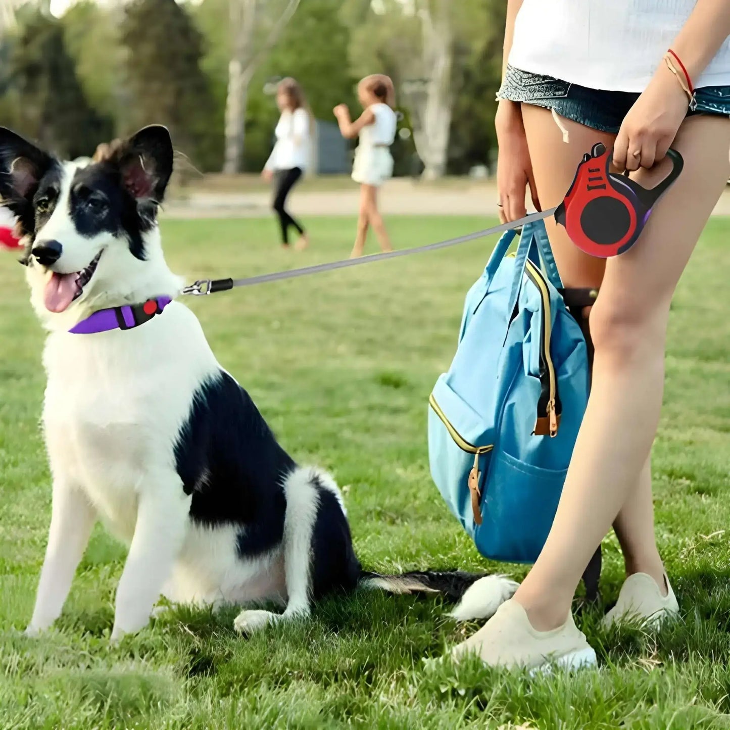 Une femme dans un parc avec son border collie en laisse avec la laisse enrouleur pour chien rouge.
