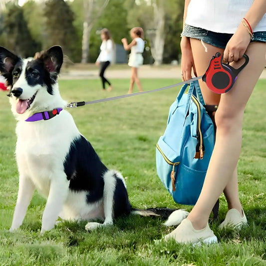 Une femme dans un parc avec son border collie en laisse avec la laisse enrouleur pour chien rouge.