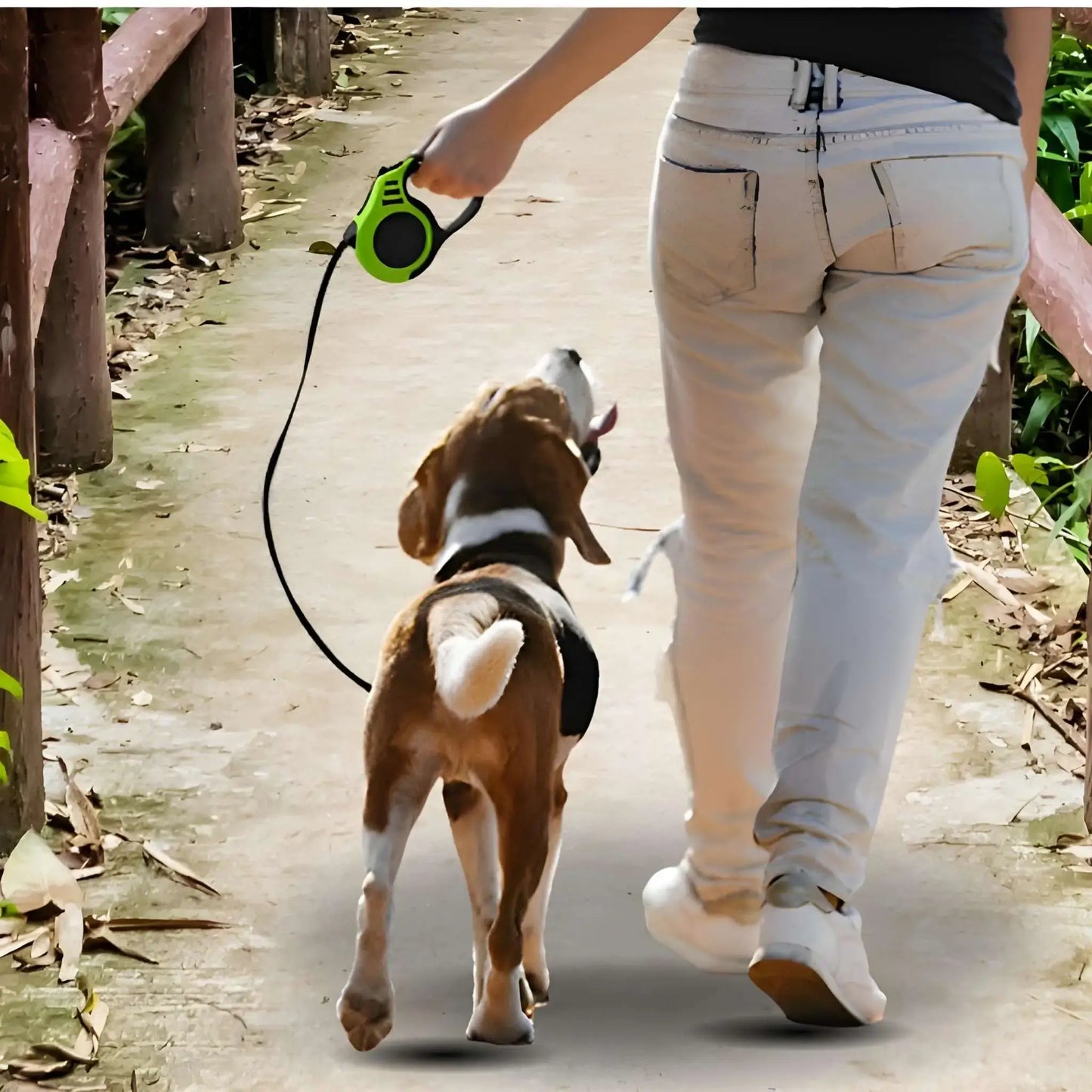 Une femme avec son beagle marche en laisse avec la laisse enrouleur pour chien verte.