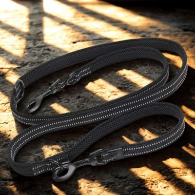 laisse main libre chien couleur noir