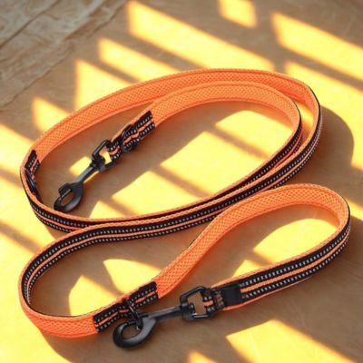 laisse mai libre chien couleur orange