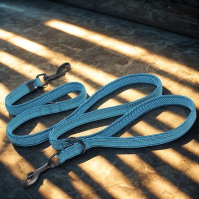 laisse main libre chien couleur turquoise