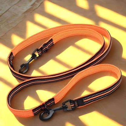 Laisse main libre pour chien au sol de couleur orange.