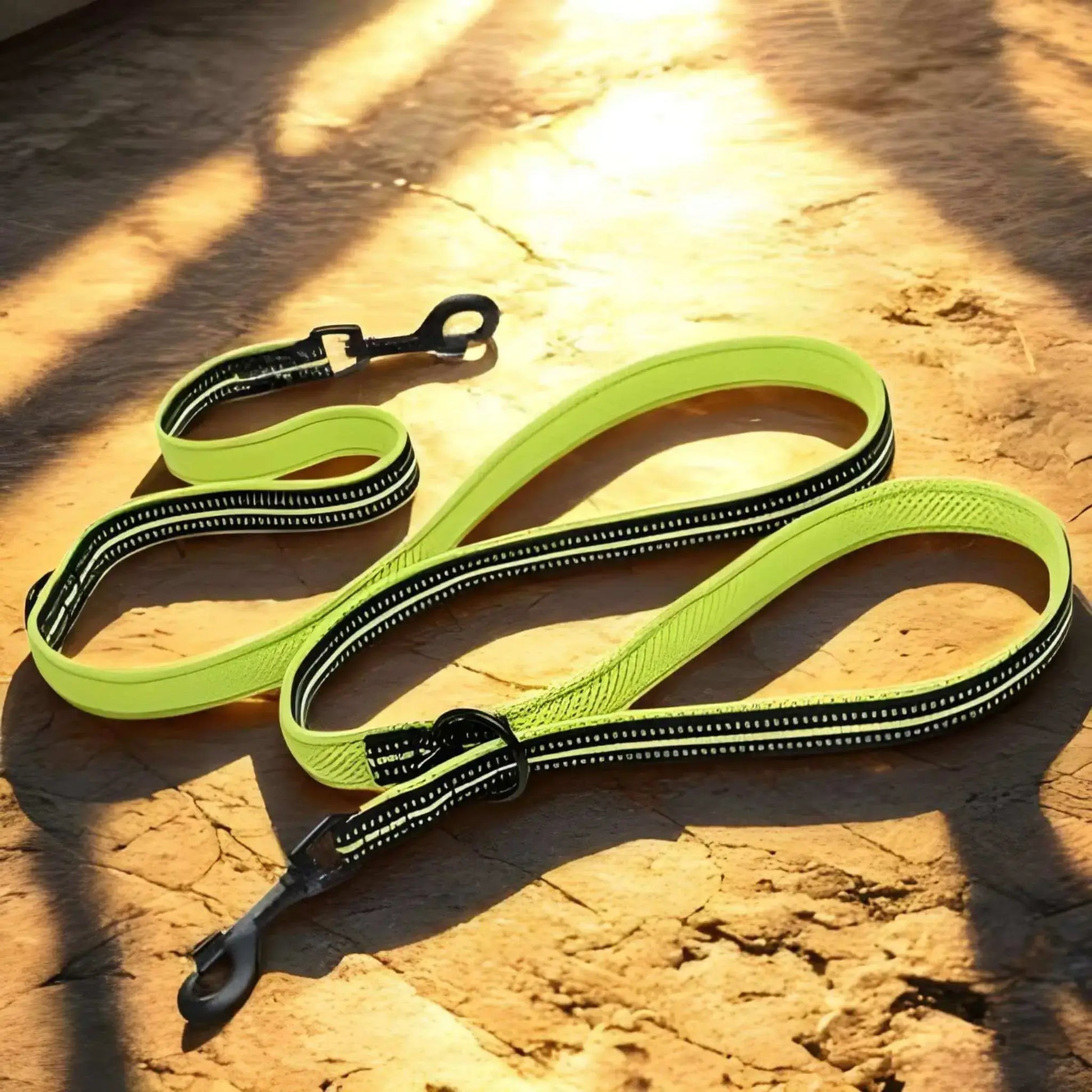 Laisse main libre pour chien au sol de couleur vert fluo.