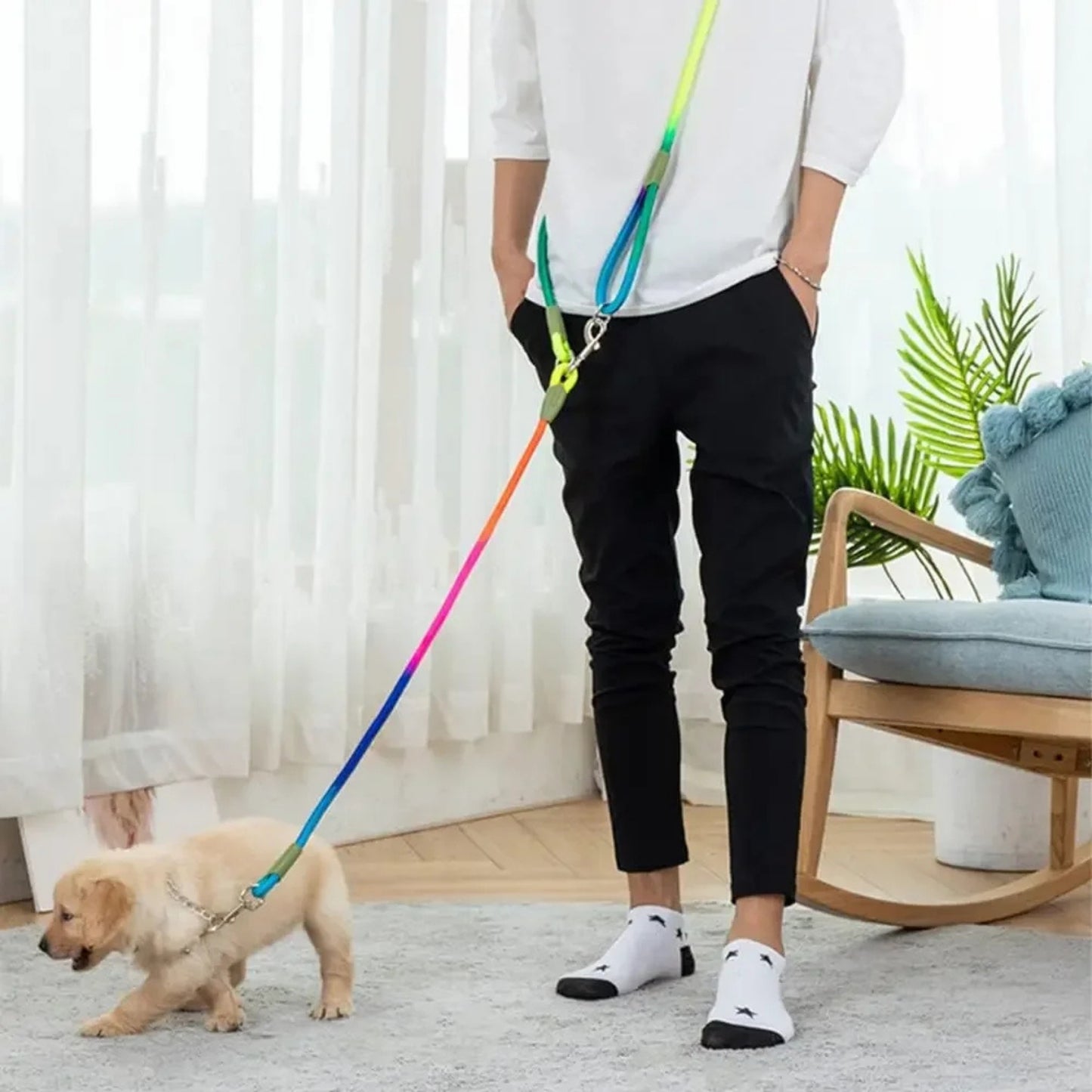 laisse mains libres pour chien galaxy-homme avec petit chien