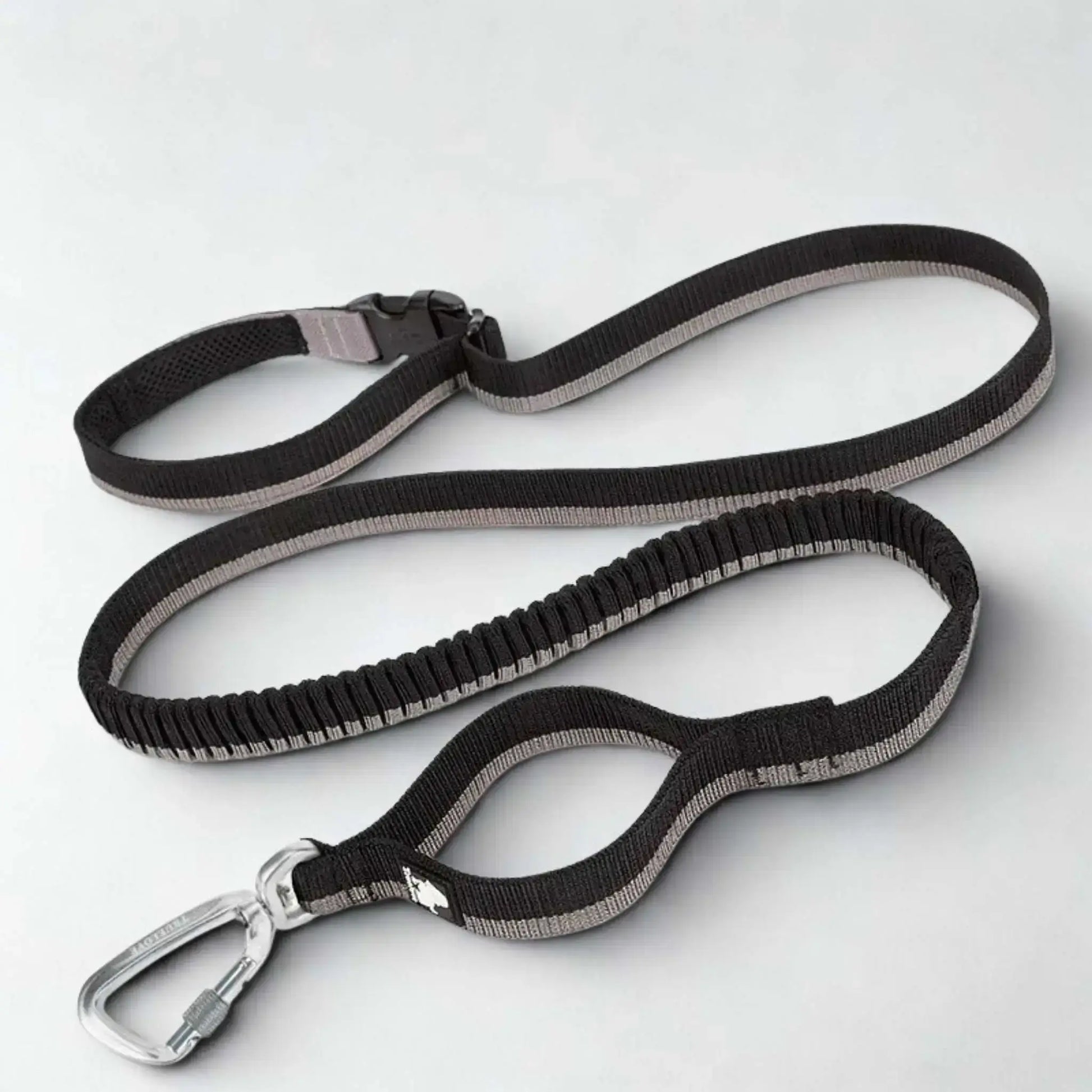 Une laisse mains libres pour chien de couleur noire.
