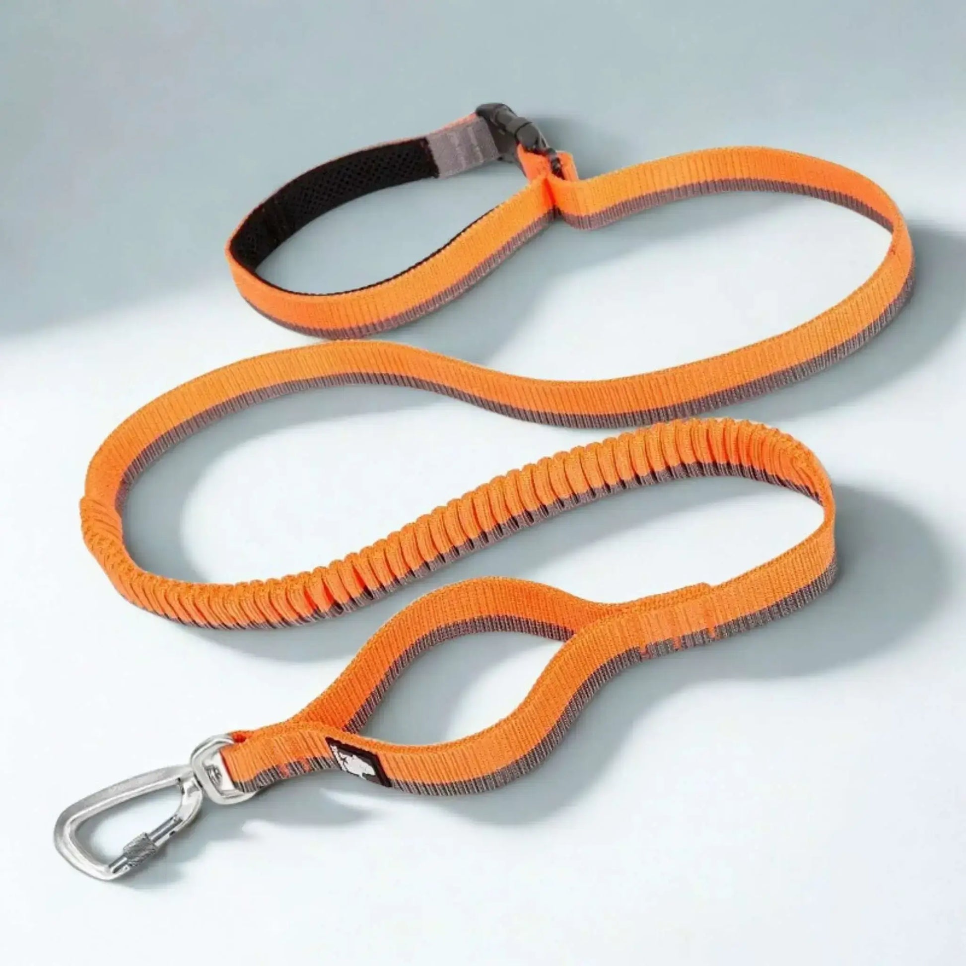 Une laisse mains libres pour chien de couleur orange.
