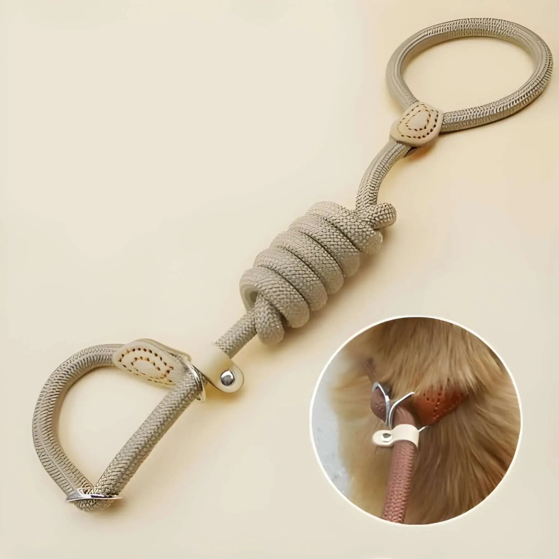 Une laisse pour chien de couleur beige avec boucle limite.