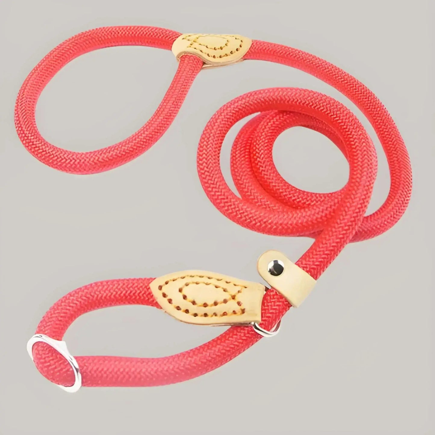 Une laisse pour chien de couleur rouge avec cuir.