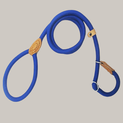 laisse pour chien bleus
