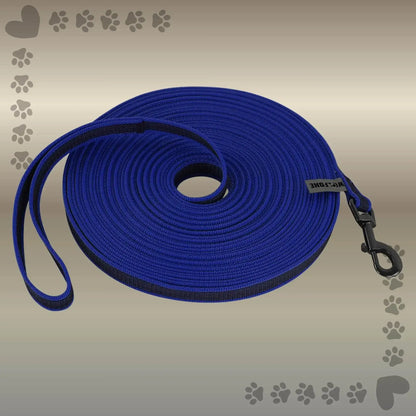 Une laisse pour chien de couleur bleue.
