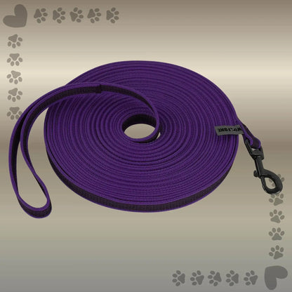 Une laisse pour chien de couleur violet, mousqueton à libération rapide.