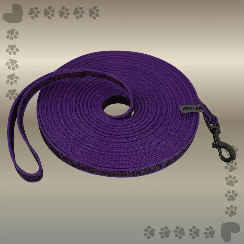 Une laisse pour chien de couleur violet, mousqueton à libération rapide.