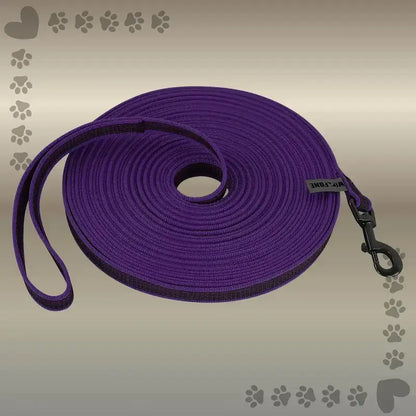 Une laisse pour chien de couleur violet, mousqueton à libération rapide.