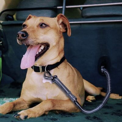 laisse pour chien chien attacher auto arriere