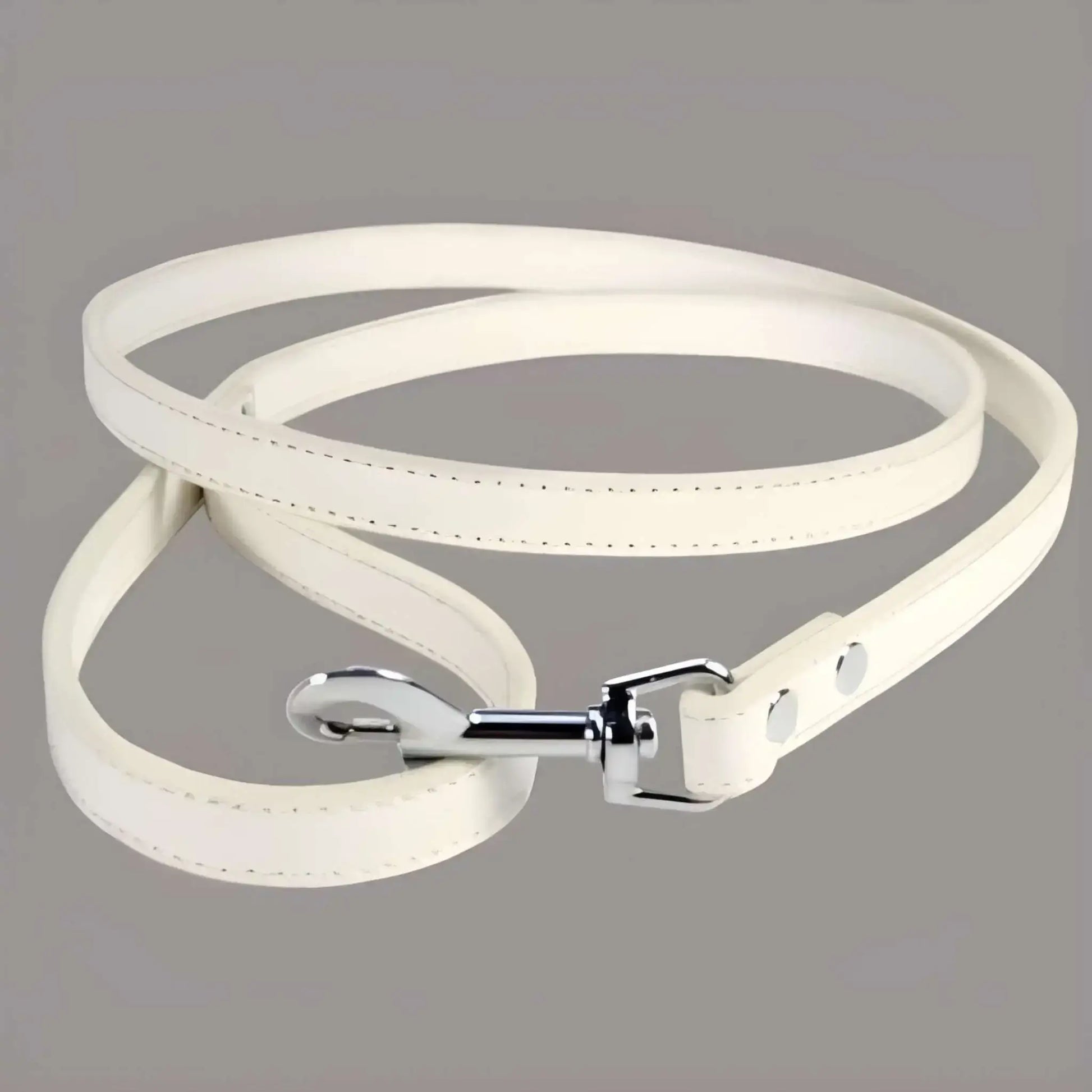 Une laisse pour chien de couleur blanche.