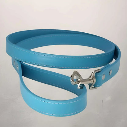 Laisse pour chien en cuir PU de couleur bleue.