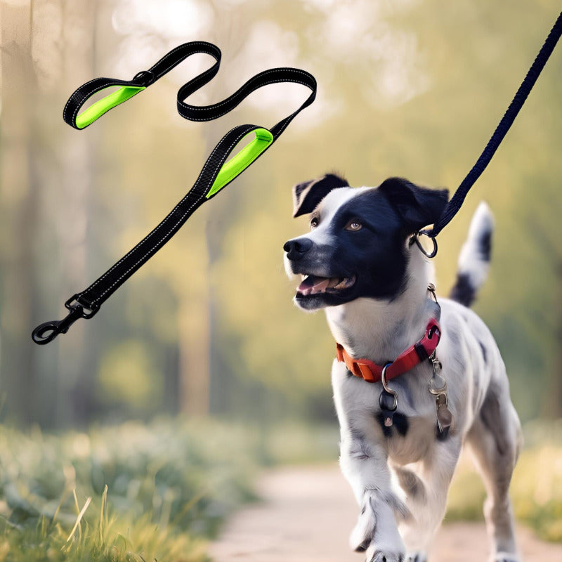 laisse pour chien couleur noir poignee vert fluo